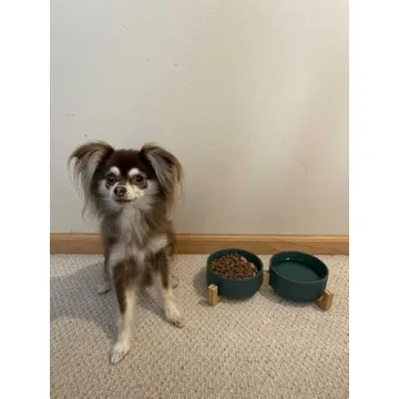 SPUNKYJUNKY Ceramic Dog and Cat Bowls for Pets