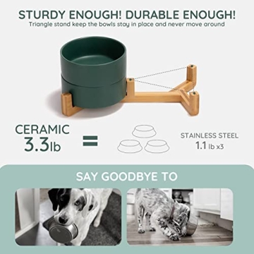 SPUNKYJUNKY Ceramic Dog and Cat Bowls for Pets
