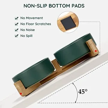 SPUNKYJUNKY Ceramic Dog and Cat Bowls for Pets