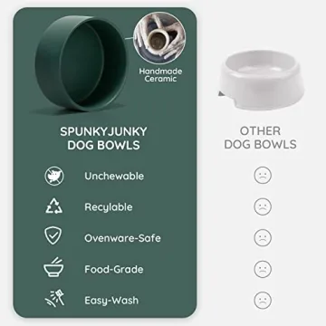 SPUNKYJUNKY Ceramic Dog and Cat Bowls for Pets