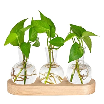 Mkono Desktop Plant Propagation Glass Vase Station - Stylish Home Decor for Plant Lovers