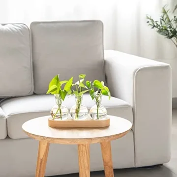 Mkono Desktop Plant Propagation Station With Wooden Tray