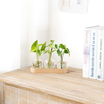Mkono Desktop Plant Propagation Station With Wooden Tray