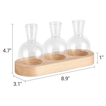 Mkono Desktop Plant Propagation Station With Wooden Tray