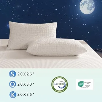 RGTIME Adjustable Shredded Memory Foam Pillows – King Size