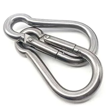 Heavy Duty Stainless Steel Carabiners | EFFIET 2 Packs