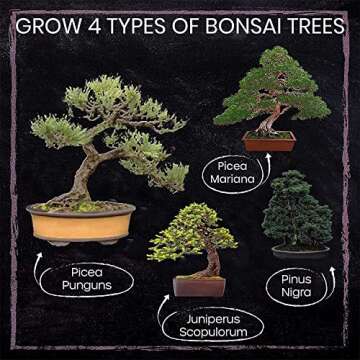 Nature's Blossom Bonsai Tree Kit - 4 Types of Bonsai Seeds for Outdoor and Indoor Garden - Tools, Pots, Soil and Plant Growing Guide Included﻿