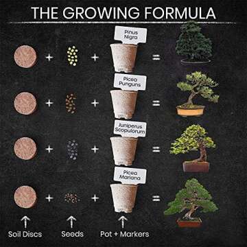 Nature's Blossom Bonsai Tree Kit - 4 Types of Bonsai Seeds for Outdoor and Indoor Garden - Tools, Pots, Soil and Plant Growing Guide Included﻿