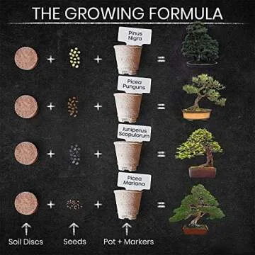 Nature's Blossom Bonsai Tree Starter Kit for All Ages