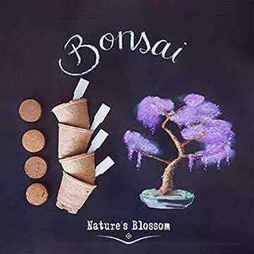 Nature's Blossom Bonsai Tree Kit - 4 Types of Bonsai Seeds for Outdoor and Indoor Garden - Tools, Pots, Soil and Plant Growing Guide Included﻿