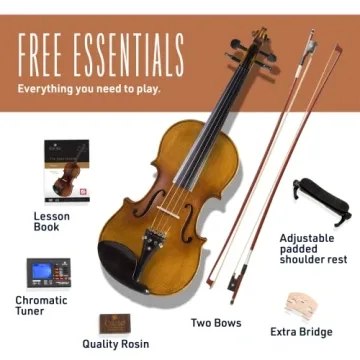 Cecilio CVN-500 Solidwood Ebony Violin with D'Addario Strings