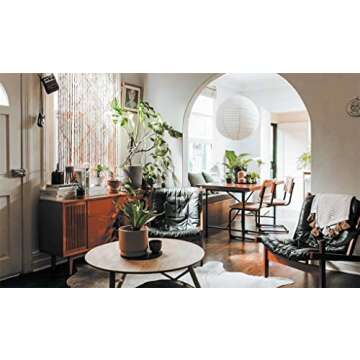 Leaf Supply: A Guide to Keeping Happy House Plants