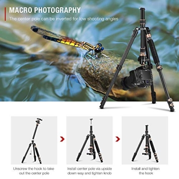 TYCKA 56” Camera Tripod for Photographers, Lightweight & Durable