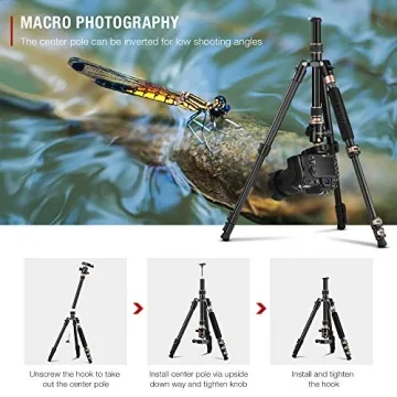 TYCKA 56” Camera Tripod for Photographers, Lightweight & Durable