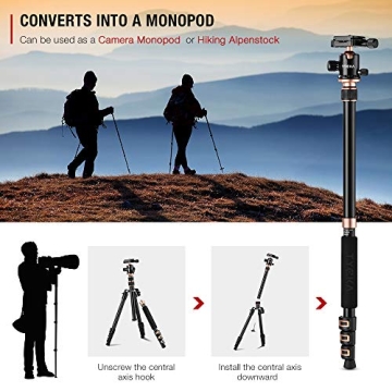 TYCKA 56” Camera Tripod for Photographers, Lightweight & Durable
