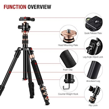 TYCKA 56” Camera Tripod for Photographers, Lightweight & Durable