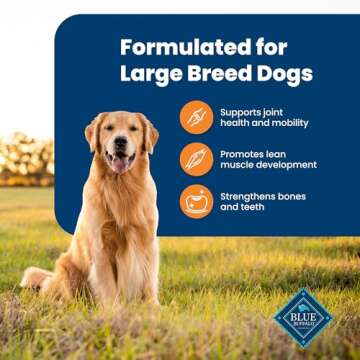Blue Buffalo Life Protection Formula Large Breed Adult Dry Dog Food, Promotes Joint Health and Lean Muscles, Made with Natural Ingredients, Chicken & Brown Rice Recipe, 30-lb. Bag