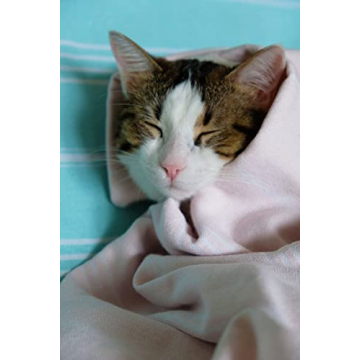 Park & Oz Turkish Peshtemal Beach Towels 100% Cotton Lightweight