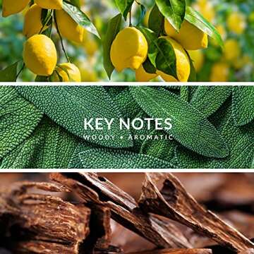 Territoire Blue Men's Cologne - Exotic Eau De Parfum