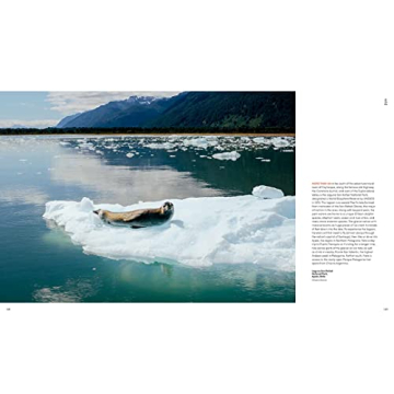 Coastlines Coffee Table Book for Beach Lovers and Decor