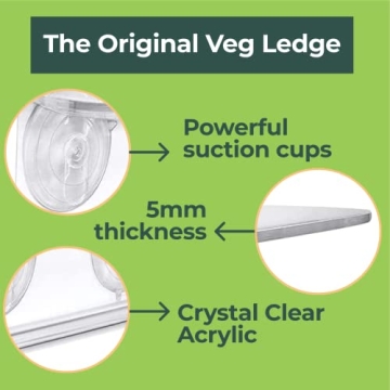 Versatile WINDOW GARDEN Veg Dangler for Indoor Plants and Decor