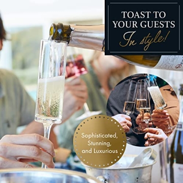 ELIXIR Glassware Beautiful Champagne Flutes Set of 6