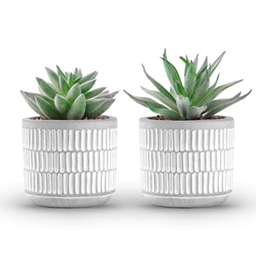 Der Rose Set of 2 Realistic Artificial Succulent Plants
