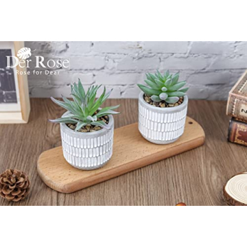 Der Rose Set of 2 Realistic Artificial Succulent Plants