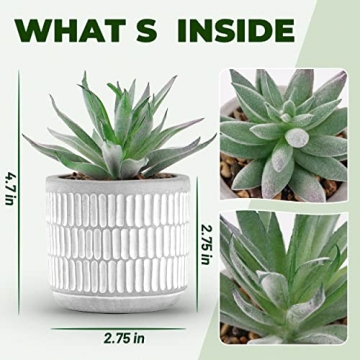 Der Rose Set of 2 Realistic Artificial Succulent Plants