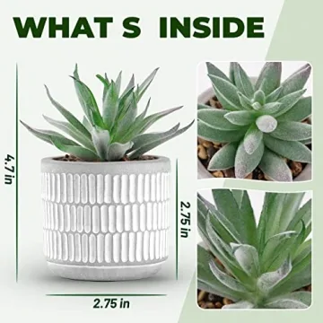 Der Rose Set of 2 Realistic Artificial Succulent Plants