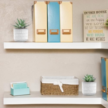 Der Rose Set of 2 Realistic Artificial Succulent Plants