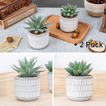 Der Rose Set of 2 Realistic Artificial Succulent Plants