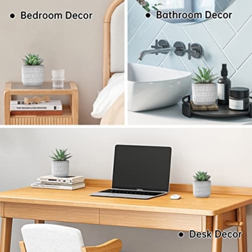 Der Rose Set of 2 Realistic Artificial Succulent Plants