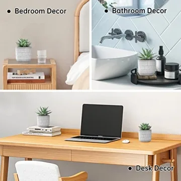 Der Rose Set of 2 Realistic Artificial Succulent Plants