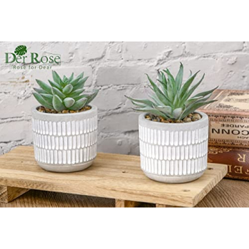 Der Rose Set of 2 Realistic Artificial Succulent Plants