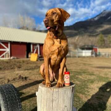 Farm To Pet - Dry Dog Food Topper - Turkey Meal Toppers for Dogs, Single Ingredient, Lean, All Natural, Healthy Food for Small, Medium, Large Breeds, & Puppies, Made in USA