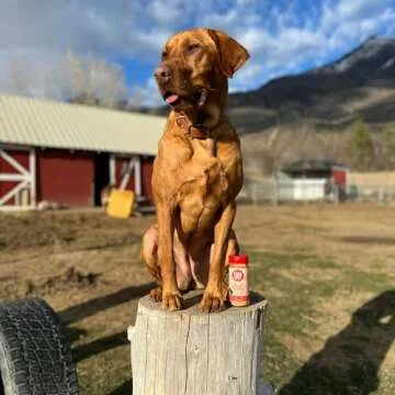 Farm To Pet - Dry Dog Food Topper - Turkey Meal Toppers for Dogs, Single Ingredient, Lean, All Natural, Healthy Food for Small, Medium, Large Breeds, & Puppies, Made in USA