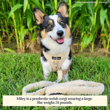 Stylish Lucy & Co No-Pull Teddy Dog Harness for Comfort