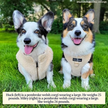 Stylish Lucy & Co No-Pull Teddy Dog Harness for Comfort