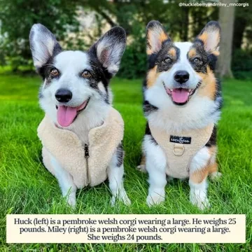 Stylish Lucy & Co No-Pull Teddy Dog Harness for Comfort