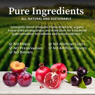 BioPure Deep Purple – All-Natural Superfruit Dietary Supplement Made from a Synergistic Blend of Organic Acai, Organic Pomegranate, and Plum for Gut Health, Immune Support and Overall Wellness – 100g