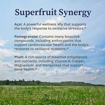 BioPure Deep Purple – All-Natural Superfruit Dietary Supplement Made from a Synergistic Blend of Organic Acai, Organic Pomegranate, and Plum for Gut Health, Immune Support and Overall Wellness – 100g