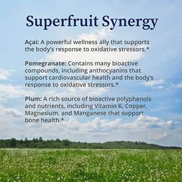 BioPure Deep Purple – All-Natural Superfruit Dietary Supplement Made from a Synergistic Blend of Organic Acai, Organic Pomegranate, and Plum for Gut Health, Immune Support and Overall Wellness – 100g