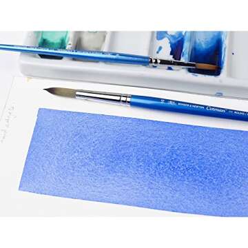 Winsor & Newton Cotman Synthetic Brush for Watercolour Art