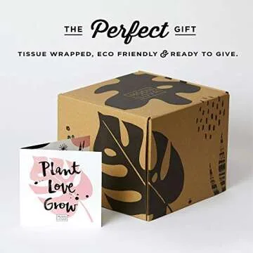 MODN LOVR Mid Century Modern Planter Pot Indoor with Drainage - Large 8.5 Inch Round Stylish Leak Proof Aluminum Houseplant Pots for Home or Office, Succulent and Cactus Holder, Anodized Copper