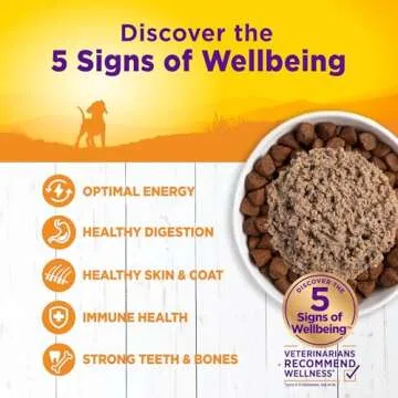 Wellness Complete Health Natural Wet Canned Puppy Food, Puppy Chicken & Salmon 12.5-Ounce Can (Pack of 12)