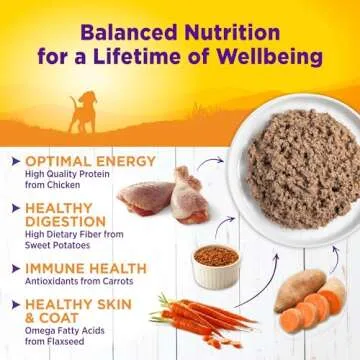 Wellness Complete Health Natural Wet Canned Puppy Food, Puppy Chicken & Salmon 12.5-Ounce Can (Pack of 12)