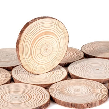 Lemonfilter Wood Slices 16 Pcs for Rustic Crafts and Decor