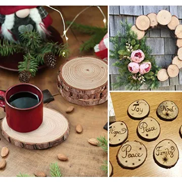 Lemonfilter Wood Slices 16 Pcs for Rustic Crafts and Decor