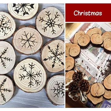 Lemonfilter Wood Slices 16 Pcs for Rustic Crafts and Decor